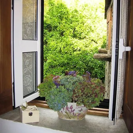 Charming House Terrace