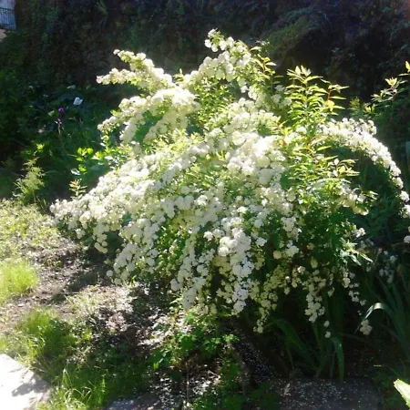 Charming House Terrace Semesterbostad Amarante