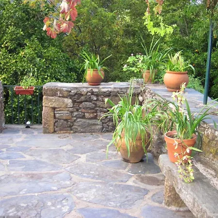 Charming House Terrace Semesterbostad Amarante