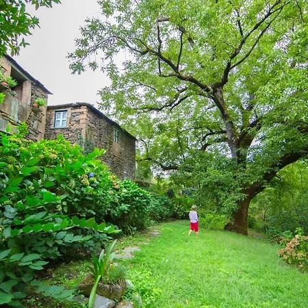 Semesterbostad Charming House Terrace Amarante