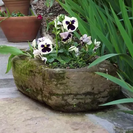 Charming House Terrace