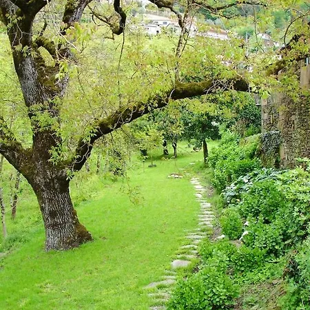 Semesterbostad Charming House Terrace Amarante