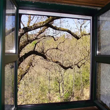 Charming House Terrace