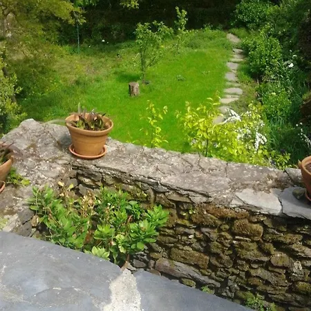 Charming House Terrace *
