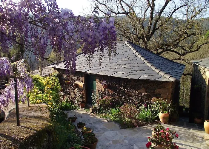 Charming House Terrace