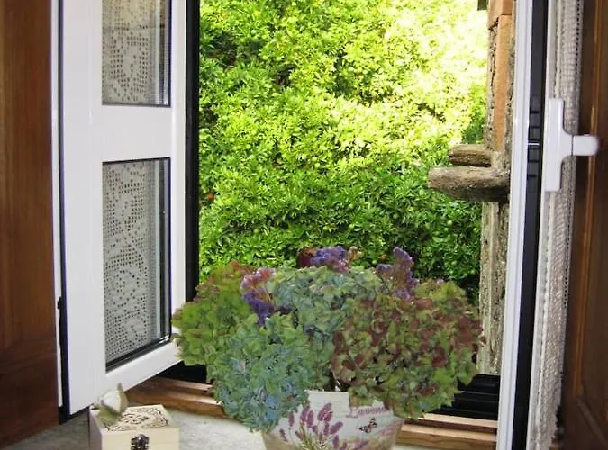 Charming House Terrace