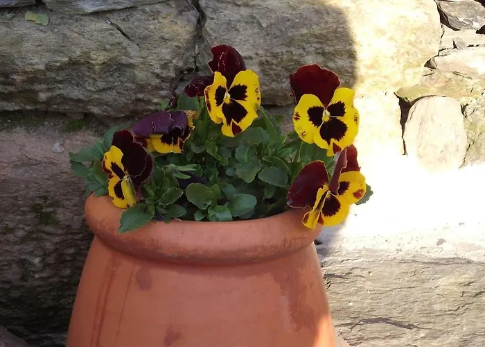Charming House Terrace Prázdninový dům Amarante