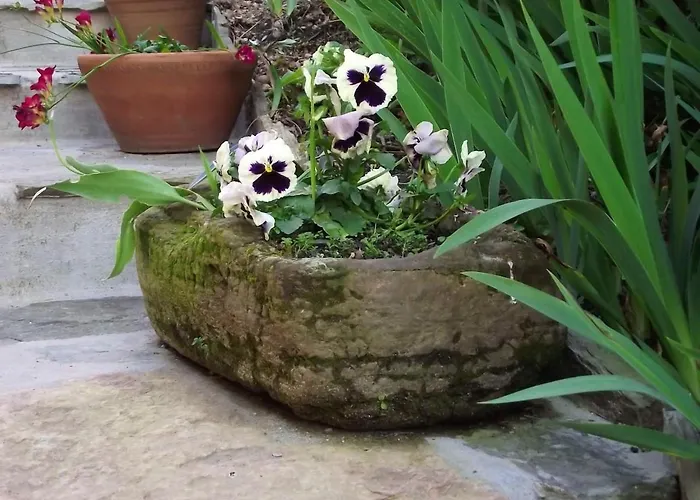 Charming House Terrace
