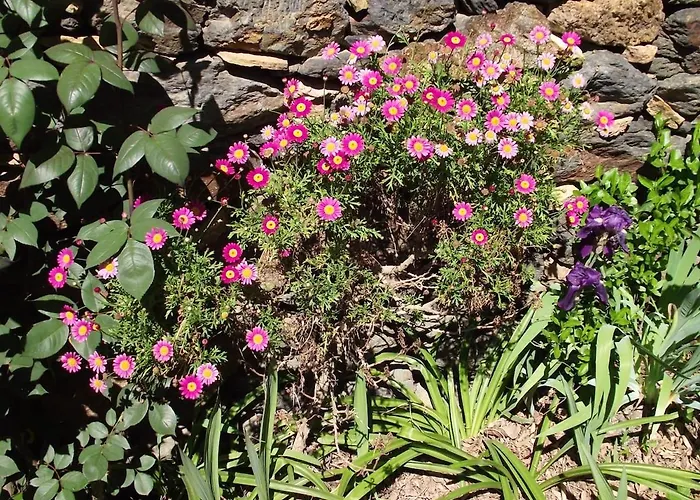 Prázdninový dům Charming House Terrace *